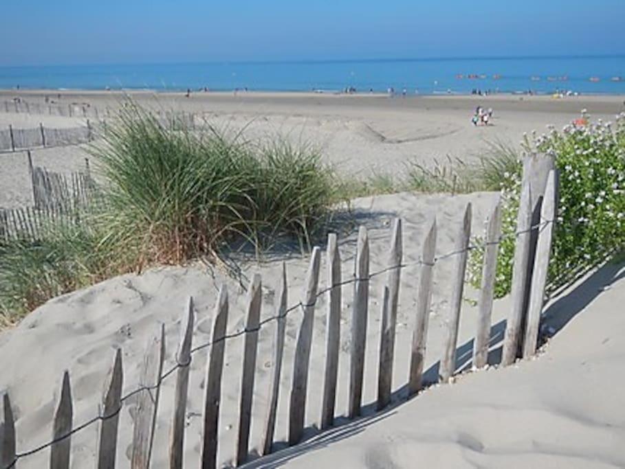 Logement A Deux Pas De La Plage Et Des Commerces Le Treport Bagian luar foto